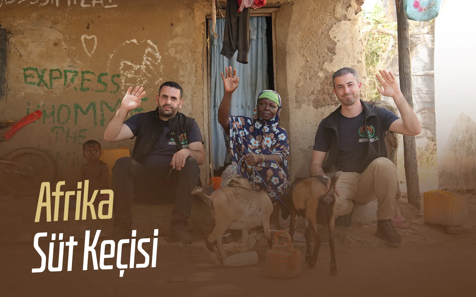 Süt Keçisi — Afrika